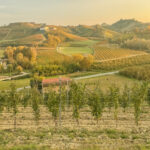 1 weekend relax nelle Langhe