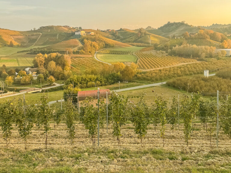 1 weekend relax nelle Langhe